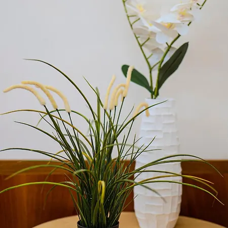 Apartamento Restart Pantheon